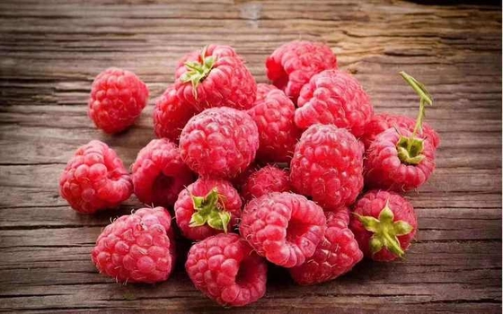 High Quality IQF Frozen Whole Raspberries in Bulk Carton Packed