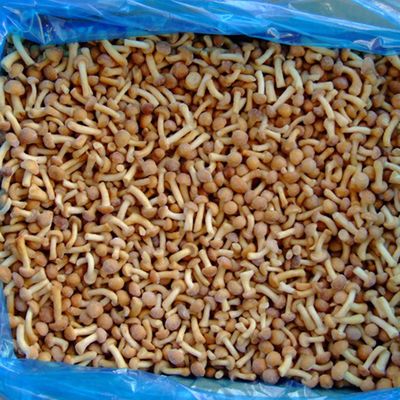 Owoce Mrożone Grzyby IQF Mrożone Nameko