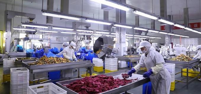 Wysokiej jakości masowe zamrożone maliny Zamrożone maliny masowe opakowania owoce 9