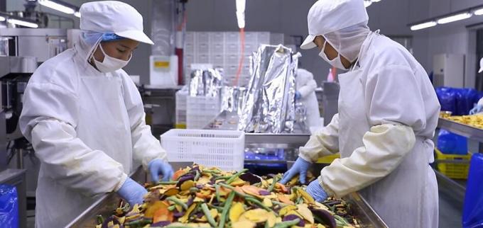 Wysokiej jakości masowe zamrożone maliny Zamrożone maliny masowe opakowania owoce 10