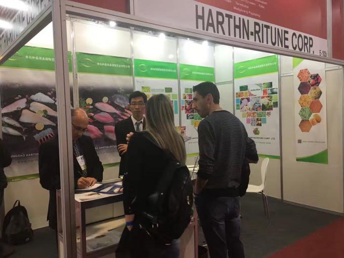 Wysokiej jakości masowe zamrożone maliny Zamrożone maliny masowe opakowania owoce 19