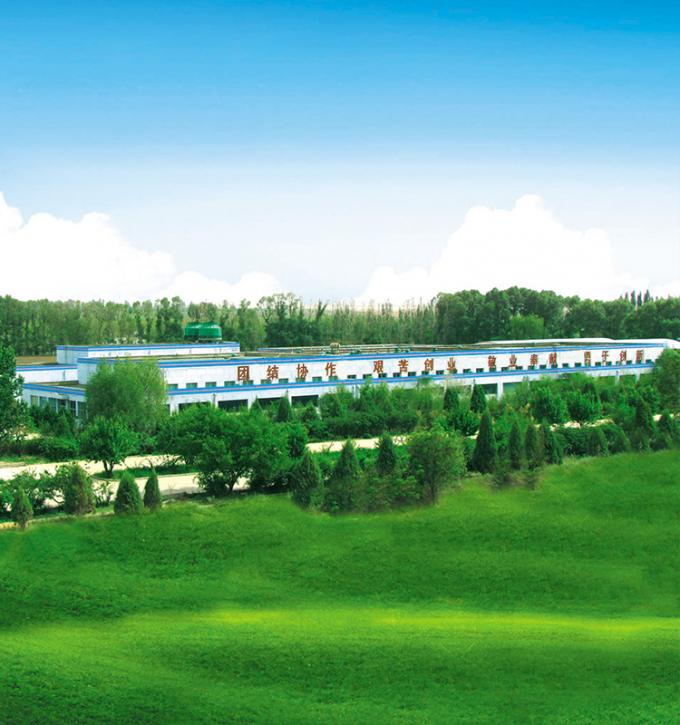 Sinocharm 4-gwiazdkowy produkt BRC-A Świeża brzoskwinia ż&oacute;łta 10x10 mm Mrożone owoce w kęsie 8