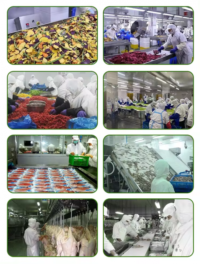 Sprzedaż hurtowa, pakowane luzem, mrożone dynia, krojona w kostkę, IQF, kawałki dyni, mrożone warzywa 5