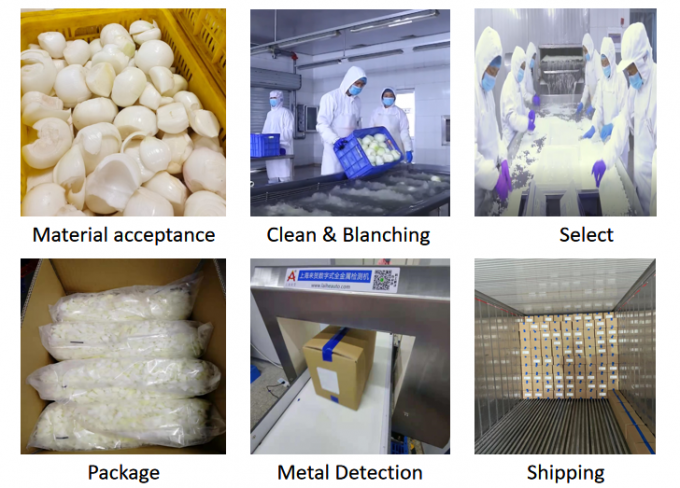 Wielkiej sprzedaży hurtowej Brc Certified Iqf Zamrożone Cebulki Cebulki białe 0