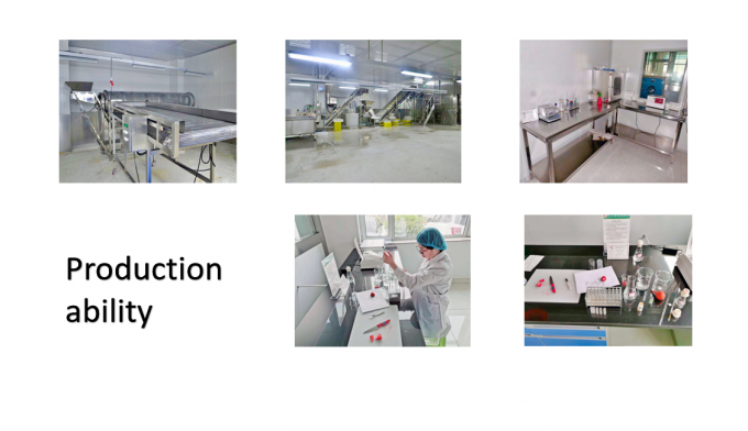 Chińska dostawa Najlepsza jakość Dobra cena Iqf Zamrożone warzywa Cała Okra Gumbo 7