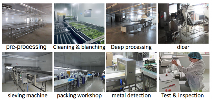Chińska dostawa Najlepsza jakość Dobra cena Iqf Zamrożone warzywa Cała Okra Gumbo 8