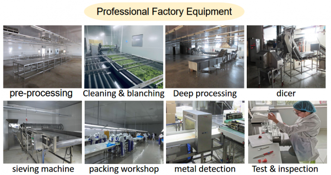 Producent Cena fabryczna IQF Wysokiej jakości Świeża żywność Zamrożone Maliny Serbia do wywozu 6