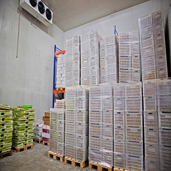 Tańsza cena Najwyższej jakości niskotłuszczowa czysta HALAL Zatwierdzona zamrożona wątroba jagnięca 3