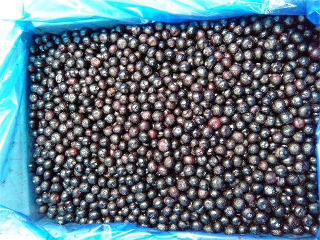 IQF Zamrożone całe bor&oacute;wki Premium Pieczenie i koktajle z koktajlem Intensywnie 2