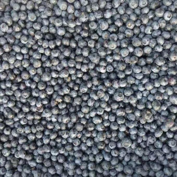 IQF Zamrożone całe bor&oacute;wki Premium Pieczenie i koktajle z koktajlem Intensywnie 1