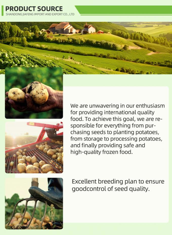 Automatyczne mrożone frytki mrożone frytki ekologiczne IQF frytki ziemniaczane masowe opakowanie 10 kg świeży materiał 1