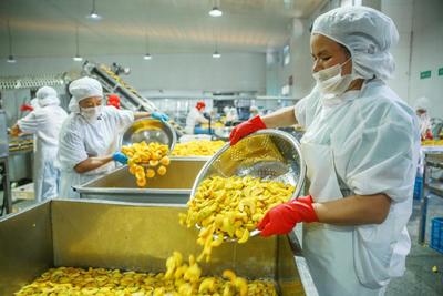 IQF Organic Ż&oacute;łta brzoskwinia Połowy Mrożone owoce Słodki smak Masowa opakowanie Woda konserwowana Pulpa Całe kostki Kości Połowy Dostępne 8