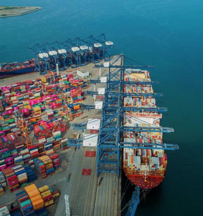 IQF Organic Ż&oacute;łta brzoskwinia Połowy Mrożone owoce Słodki smak Masowa opakowanie Woda konserwowana Pulpa Całe kostki Kości Połowy Dostępne 13