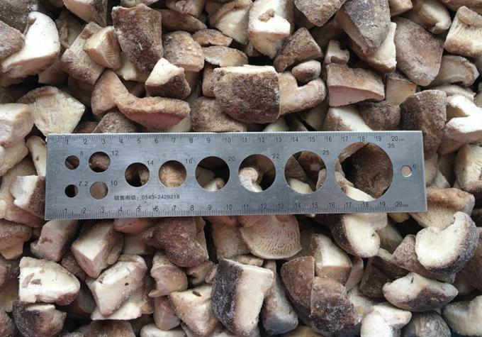 Pochodzenie Chiny Gorąca sprzedaż Iqf Żywność Hodowla grzybów Shiitake Grzyby do zamrożonych Shiitake 2