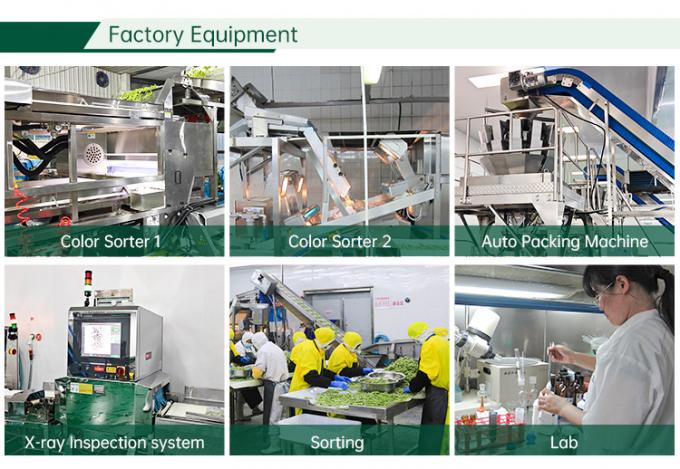 HALAL Certified Frozen Vegetables Factory IQF Tomato Dices 10 mm Zamrożone pomidory w Chinach 2