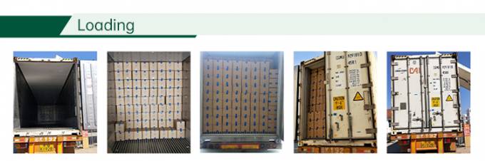 HALAL Certified Frozen Vegetables Factory IQF Tomato Dices 10 mm Zamrożone pomidory w Chinach 4