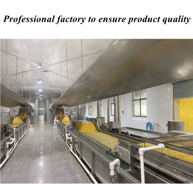 Wysokiej jakości Konkurencyjna cena Mrożona kukurydza Słodka kukurydza Ziarna organiczne bez GMO Pacowanie masowe 1