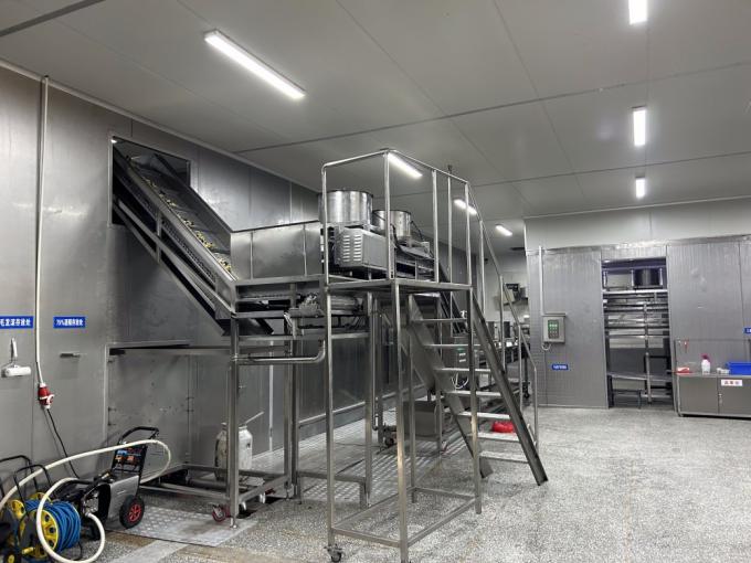 Warzywa mrożone IQF: groszek zielony, kukurydza cukrowa, marchew i fasolka szparagowa 8