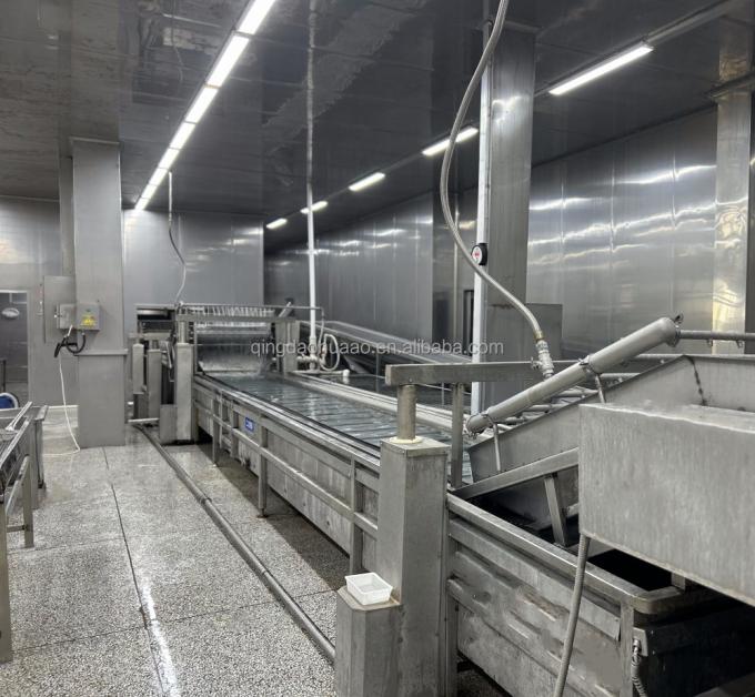 Warzywa mrożone IQF: groszek zielony, kukurydza cukrowa, marchew i fasolka szparagowa 9