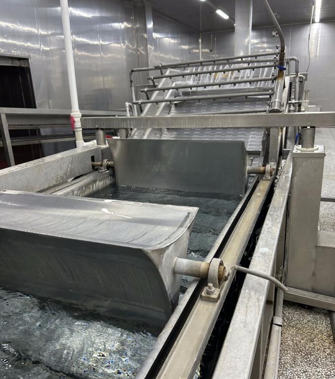 Warzywa mrożone IQF: groszek zielony, kukurydza cukrowa, marchew i fasolka szparagowa 12