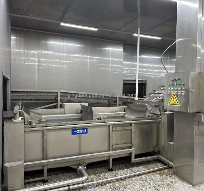 Warzywa mrożone IQF: groszek zielony, kukurydza cukrowa, marchew i fasolka szparagowa 11