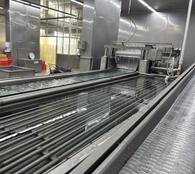 Warzywa mrożone IQF: groszek zielony, kukurydza cukrowa, marchew i fasolka szparagowa 13