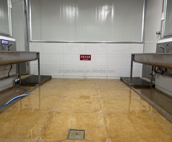 Warzywa mrożone IQF: groszek zielony, kukurydza cukrowa, marchew i fasolka szparagowa 14