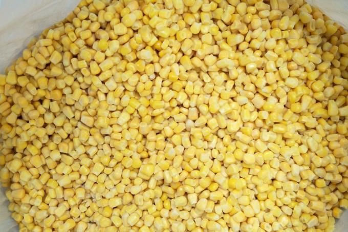 Warzywa mrożone IQF: groszek zielony, kukurydza cukrowa, marchew i fasolka szparagowa 2