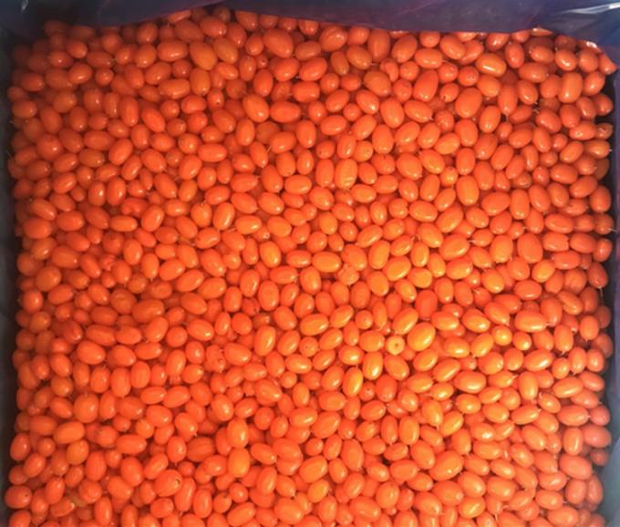 Pochodzenie Chiny IQF Świeżo Mrożony Dziki Rokitnik Pierwsza Klasa Rokitnik Bor&oacute;wka Brusznica Malina, Mieszanka Jag&oacute;d Bor&oacute;wki 0