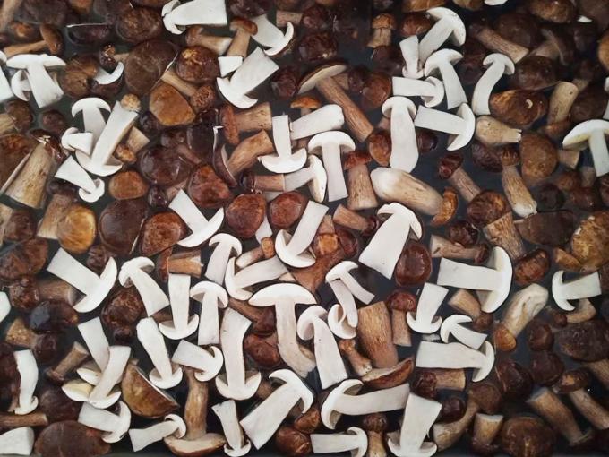 Zamrożone Grzyby IQF BOLETUS EDULIS Klasa A 24 miesiące Czas przydatności ISO HACCP BRC KOSHER HALAL Certyfikowane 10 ton MOQ 0