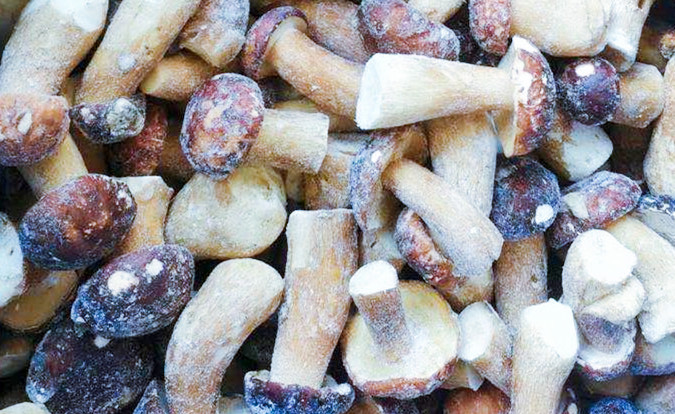 Zamrożone Grzyby IQF BOLETUS EDULIS Klasa A 24 miesiące Czas przydatności ISO HACCP BRC KOSHER HALAL Certyfikowane 10 ton MOQ 2