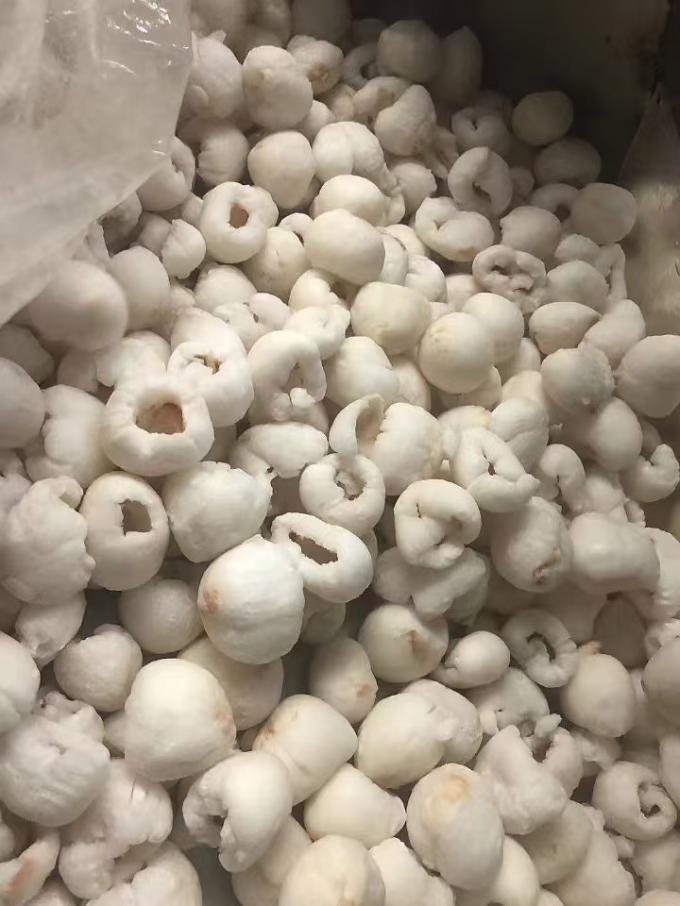 Mrożone, całe, obrane liczi w opakowaniach zbiorczych, pakowane w kartony, IQF, słodkie w smaku, owoce liczi z odmianą mango, owoce konserwowane. 3