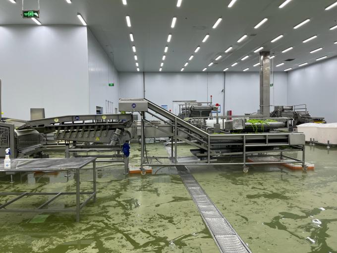 Wysokiej jakości świeże mrożone maliny zbierane ręcznie dla słodkiego smaku do sok&oacute;w, deser&oacute;w i koktajli mlecznych 9