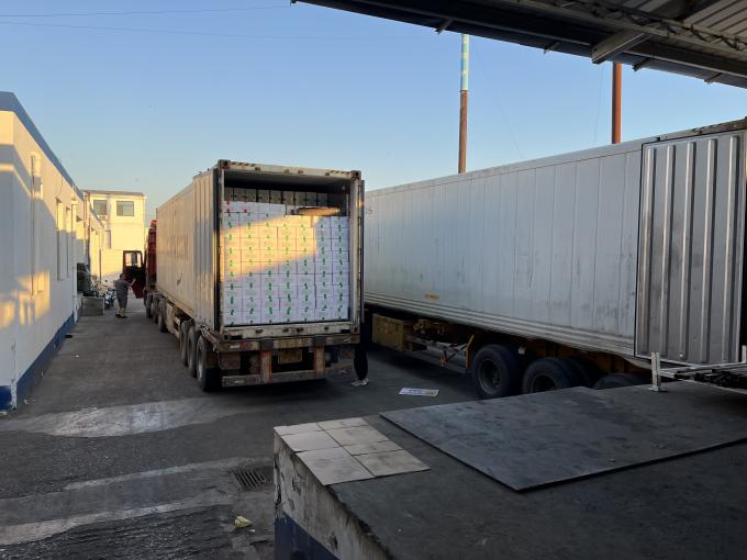 Wysokiej jakości świeże mrożone maliny zbierane ręcznie dla słodkiego smaku do sok&oacute;w, deser&oacute;w i koktajli mlecznych 16