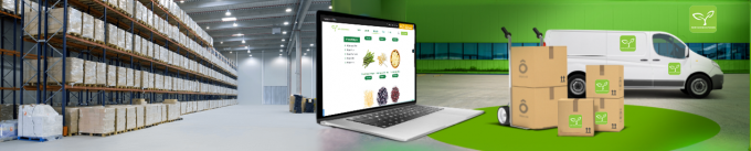 Najlepsza wysokiej jakości zamrożone grzyby ostryżowe hurtowe nowy upraw IQF grzyby ostryżowe 8