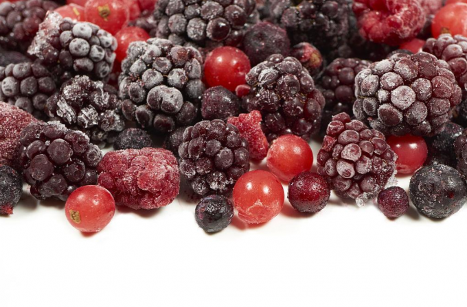 Świeże IQF Zamrożone jagody mieszane jagody czarne jagody maliny jagody błękitne w stylu jag&oacute;d czarnych jag&oacute;d jagody 1