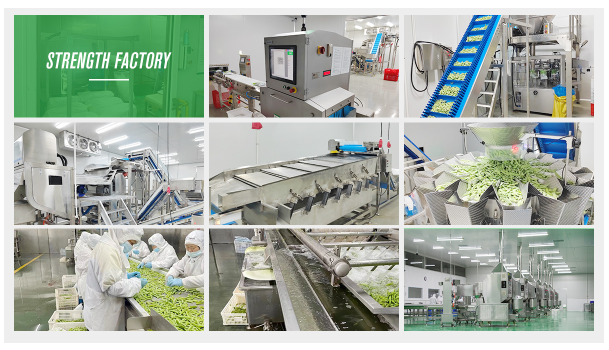 Organic IQF Zamrożony Żółty Słodki Papryka Płytki Cięte kostki kostki Zamrażanie Zdrowy naturalny chiński 6