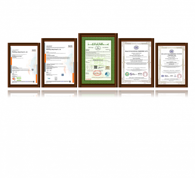 Wysokiej jakości zamrożone piersi kurczaka bez kości Eksport gotowe w opakowaniach masowych 3