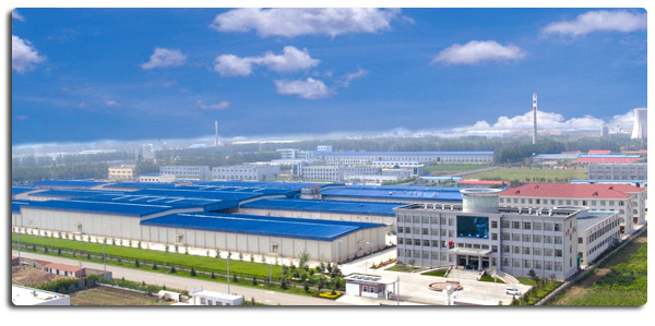 Wysokiej jakości zamrożone piersi kurczaka bez kości Eksport gotowe w opakowaniach masowych 4