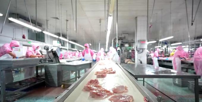 Wysokiej jakości zamrożone piersi kurczaka bez kości Eksport gotowe w opakowaniach masowych 6