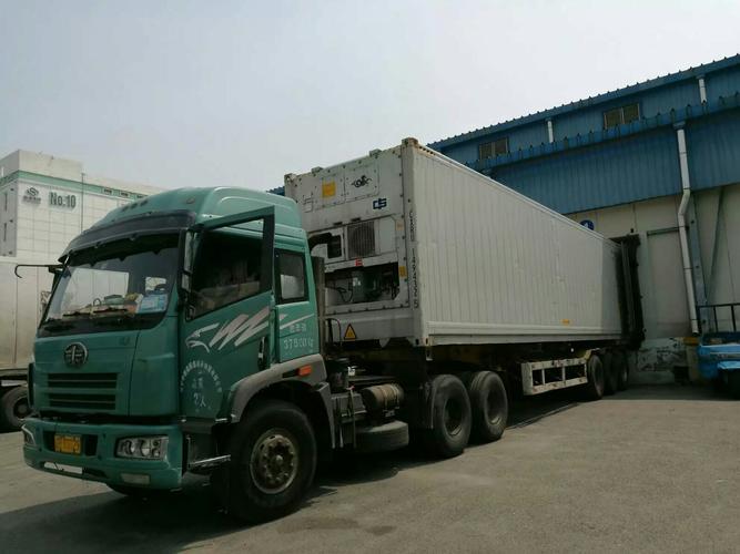 Wysokiej jakości zamrożone piersi kurczaka bez kości Eksport gotowe w opakowaniach masowych 10