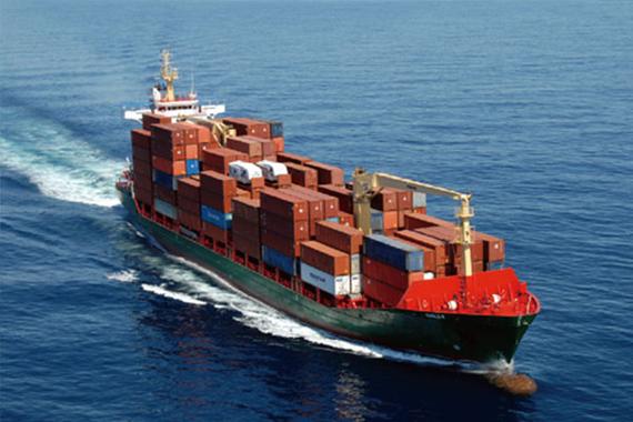 Wysokiej jakości zamrożone piersi kurczaka bez kości Eksport gotowe w opakowaniach masowych 11